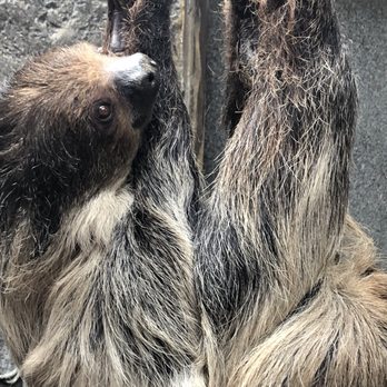 Wildlife Learning Center - Zoos Near Me - Sylmar, California