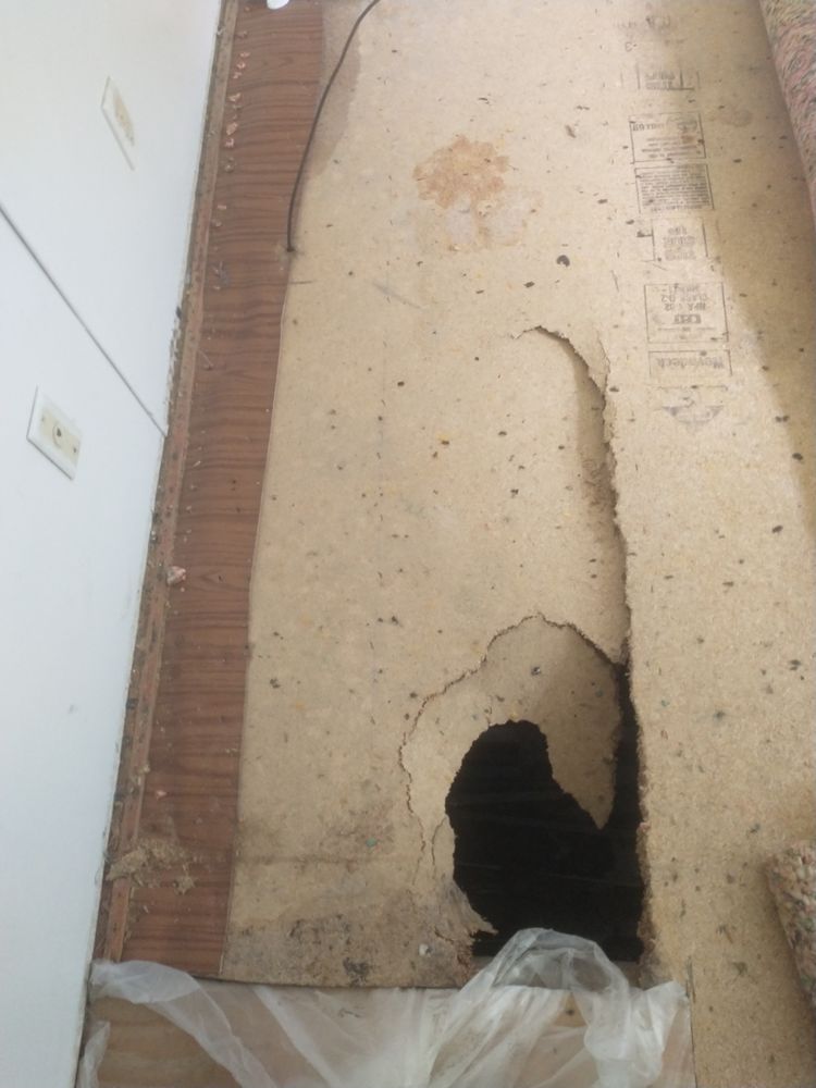 Slide of Brian Kersey