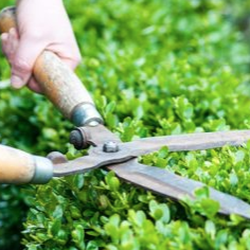 Green Wise Group