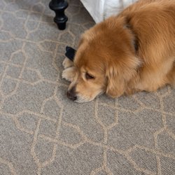 CSM Rugs - Wool custom area rug