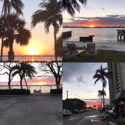 Palm Beach House Condominium by null