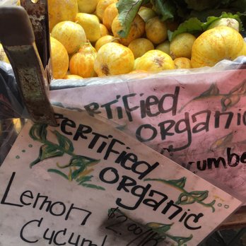 Tomatero Organic Farm - Hmmm, I'll give these lemon cucumbers a try. Sounds zesty' - Fruits & Veggies Near Me Tomatero Organic Farm - Hmmm, I'll give these lemon cucumbers a try. Sounds zesty' - Fruits & Veggies Near Me