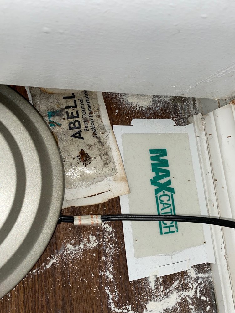 HARBOUR VIEW APARTMENTS Updated September 2024 18 Photos & 23