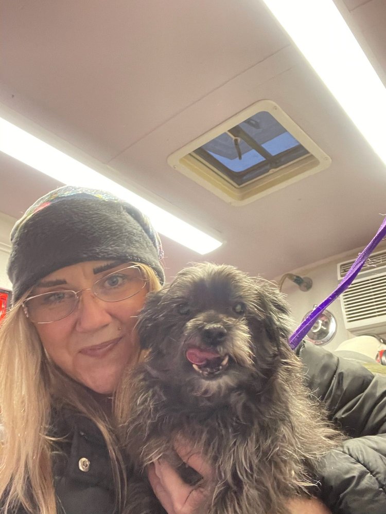 LOVING TOUCH MOBILE DOG BOUTIQUE Updated September 2024 11 Reviews