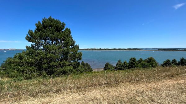 Spectacle Island by null