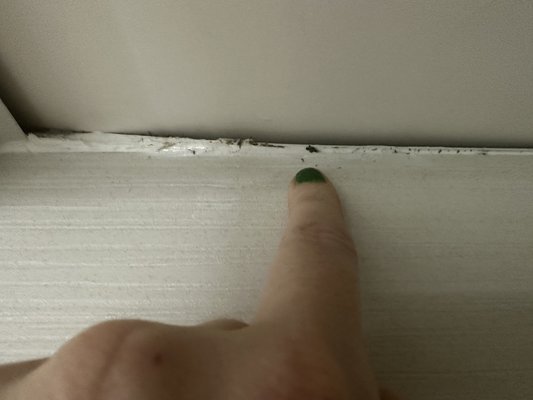 Radisson Blu Toronto Downtown by null