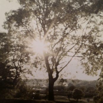 Maria Potter Counseling Services - Counseling & Mental Health Near Me - Palos Heights, Illinois Maria Potter Counseling Services - Counseling & Mental Health Near Me - Palos Heights, Illinois