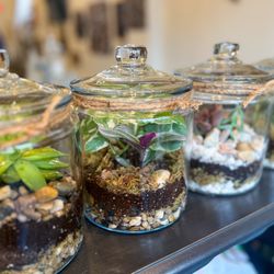 Board & Brush Creative Studio Asheville - We have specialty workshops, too!