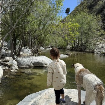 Sit Means Sit San Gabriel Valley - Pet Training Near Me - Glendora, California Sit Means Sit San Gabriel Valley - Pet Training Near Me - Glendora, California