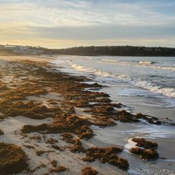 Falmouth Heights Beach