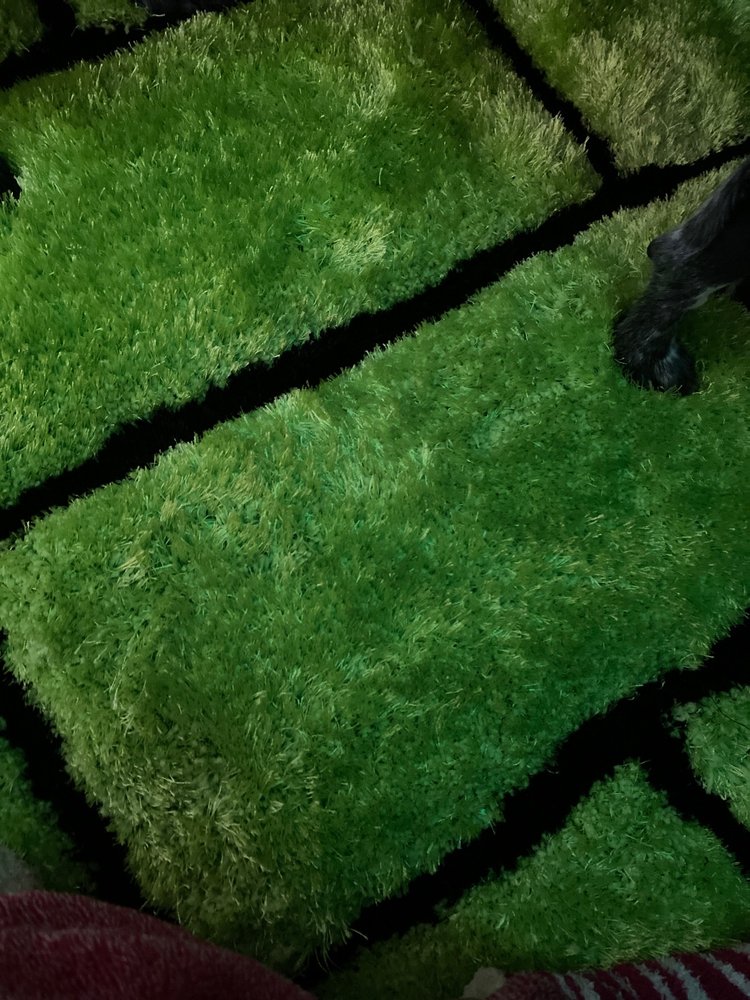 NICE PRICE Updated September 2024 9401 Joseph Campau, Hamtramck