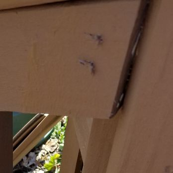Deck Man - Parts of the deck were not painted. This was a common problem. - Decks & Railing Near Me - Lorton, Virginia Deck Man - Parts of the deck were not painted. This was a common problem. - Decks & Railing Near Me - Lorton, Virginia
