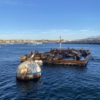 Glass Bottom Boat - Boating Near Me - Redondo Beach, California