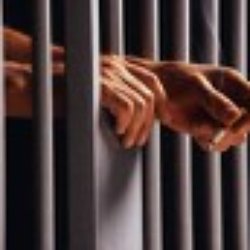 A AAA Dan's bail bonds - let us free you , In the can, call Dan , Greg or James