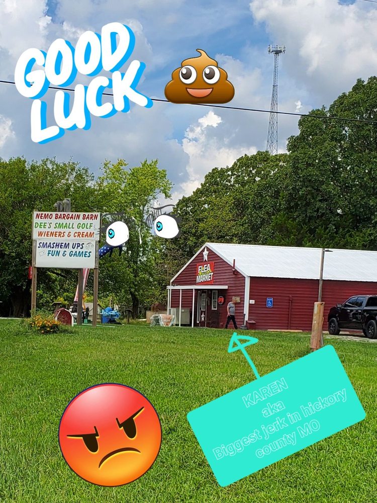 NEMO BARGAIN BARN Updated September 2024 22889 State Hwy 64, Hermitage, Missouri Flea