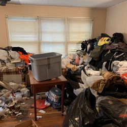 Hauling Ace - Living room before