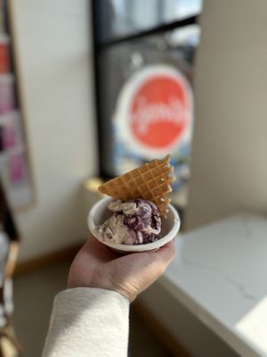 Jeni's Splendid Ice Creams by null