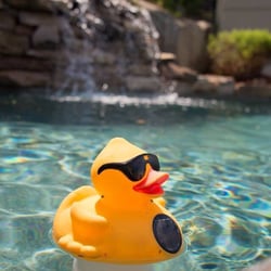 St Cyr's Pool & Spa - St. Cyr's opens and closes my pool every year so I don't have to!