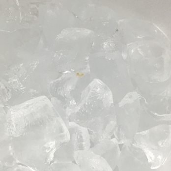 Royal China - There is something on top of my ice - Chinese Near Me - Baltimore, Maryland