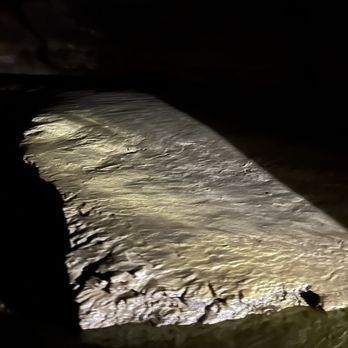 Bluespring Caverns Park - Parks Near Me - Bedford, Indiana Bluespring Caverns Park - Parks Near Me - Bedford, Indiana