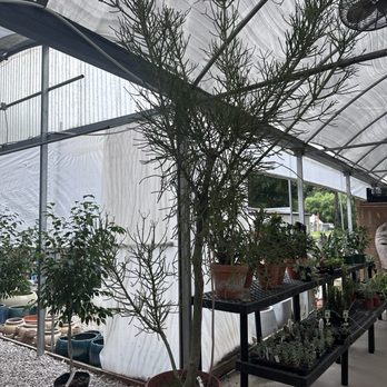 Corner Copia Gardens - Nurseries & Gardening Near Me - Fairhope, Alabama