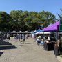 Photo of Northport Farmers Market