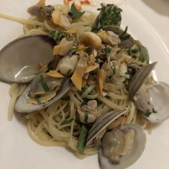 Nino's Restaurant - Clam sauce with linguine - Italian Near Me - Staten Island, New York Nino's Restaurant - Clam sauce with linguine - Italian Near Me - Staten Island, New York