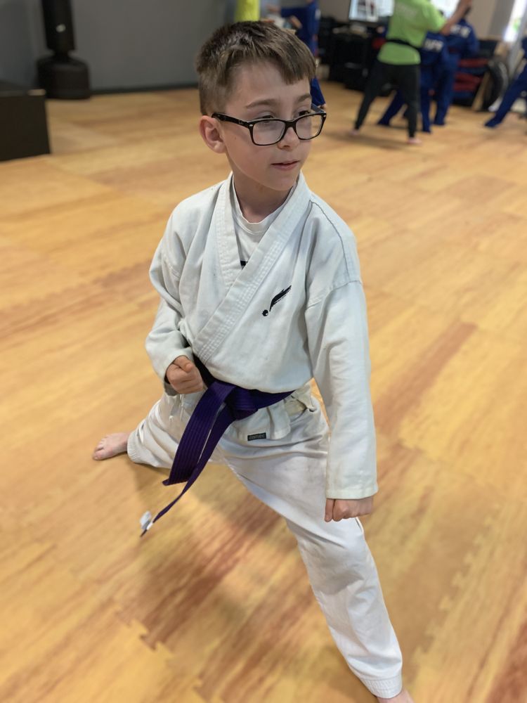 INSPIRE MARTIAL ARTS AND FITNESS CHESTERFIELD 131 Photos 4800C