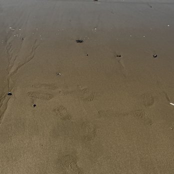 Dockweiler State Beach - Beaches Near Me - Playa Del Rey, California