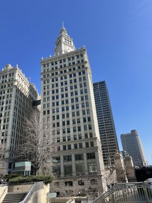 The Wrigley Building by null
