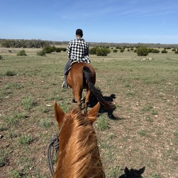 Bit & Bridle Boarding & Training Stables - Trail ride views. - Horseback Riding Near Me - Harper, Texas Bit & Bridle Boarding & Training Stables - Trail ride views. - Horseback Riding Near Me - Harper, Texas