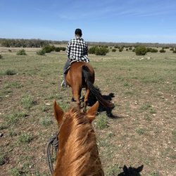 Bit & Bridle Boarding & Training Stables - Trail ride views.