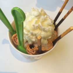 user provided I CE NY photo