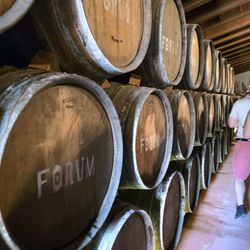 Cellers Avgvstvs Forvm - On our way to taste the balsamic vinegars