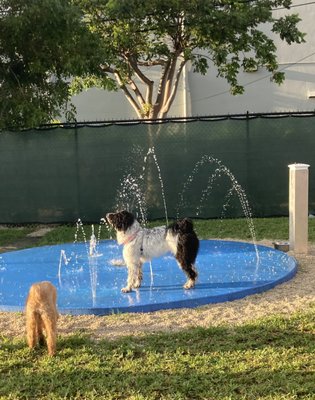 Barkyard n' Brews by null