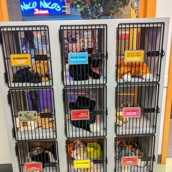 Children's Museum - Children's Museums Near Me - Houston, Texas Children's Museum - Children's Museums Near Me - Houston, Texas