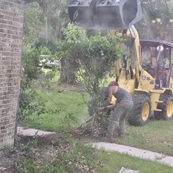 Cricket's Tree Service