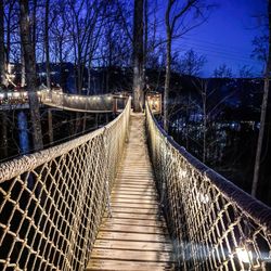 Anakeesta - Treetop Bridge
