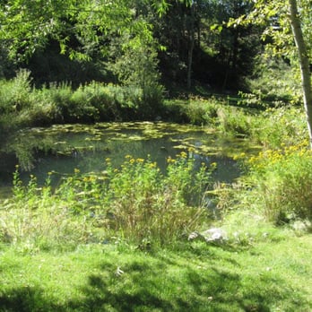 Deep Creek Guest Cabin - The pond from the front door~DS:) - Guest Houses Near Me - Livingston, Montana Deep Creek Guest Cabin - The pond from the front door~DS:) - Guest Houses Near Me - Livingston, Montana