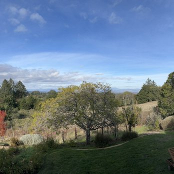 Halleck Vineyard - Amazing view - Wine Tasting Room Near Me - Sebastopol, California Halleck Vineyard - Amazing view - Wine Tasting Room Near Me - Sebastopol, California