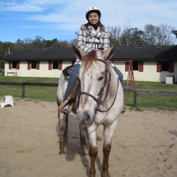 Windemere Equestrian Center - Horseback Riding Near Me - Jacksonville, Florida Windemere Equestrian Center - Horseback Riding Near Me - Jacksonville, Florida