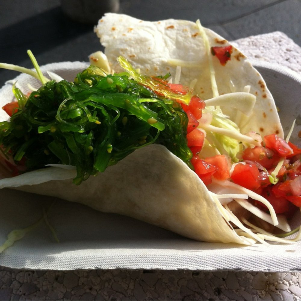 Tuna Ta Taco Tuna Ta Taco