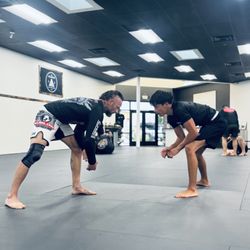 The Collective Jiu Jitsu Club
