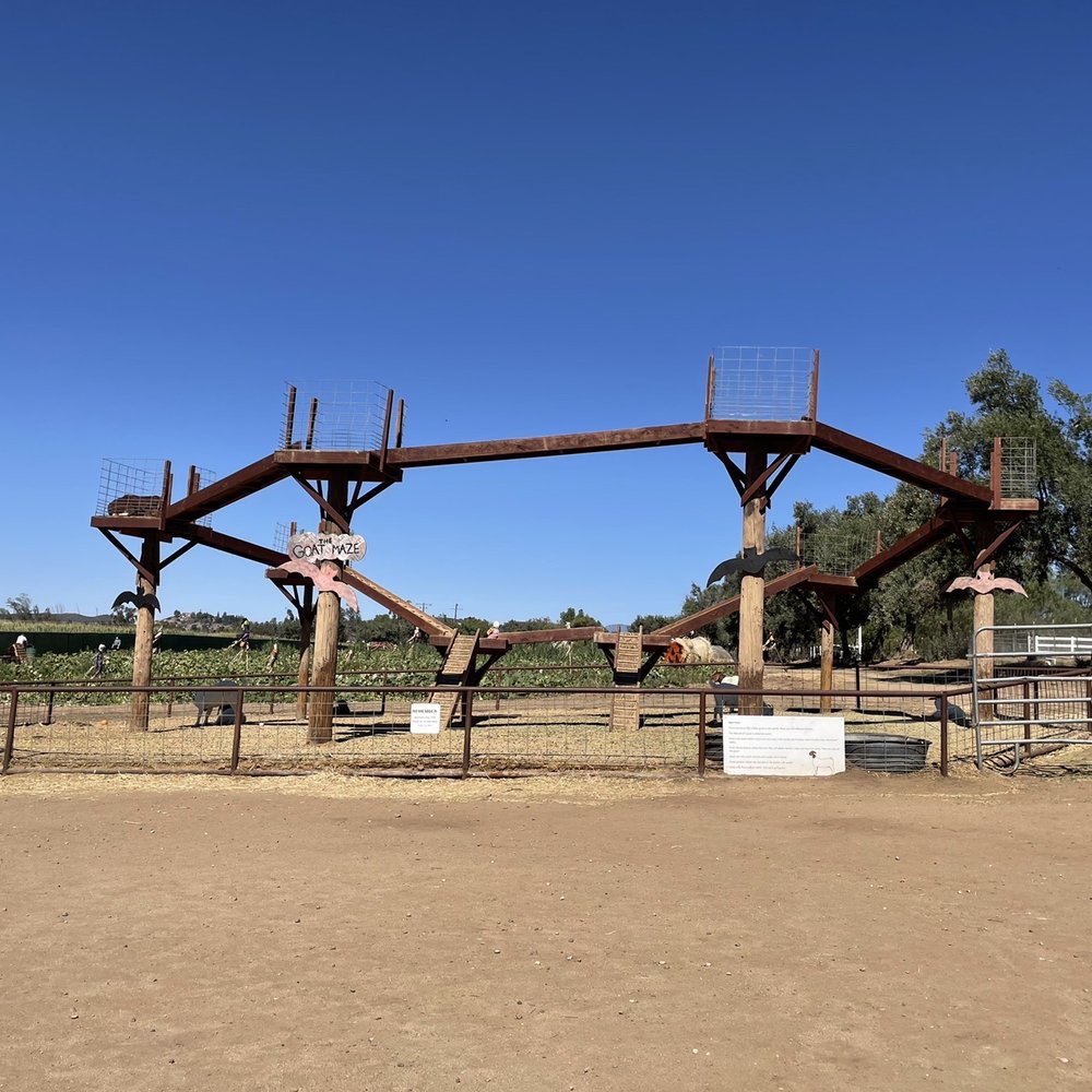 Mountain Valley Ranch - Goat maze - Pumpkin Patches Near Me - Ramona, California Mountain Valley Ranch - Goat maze - Pumpkin Patches Near Me - Ramona, California