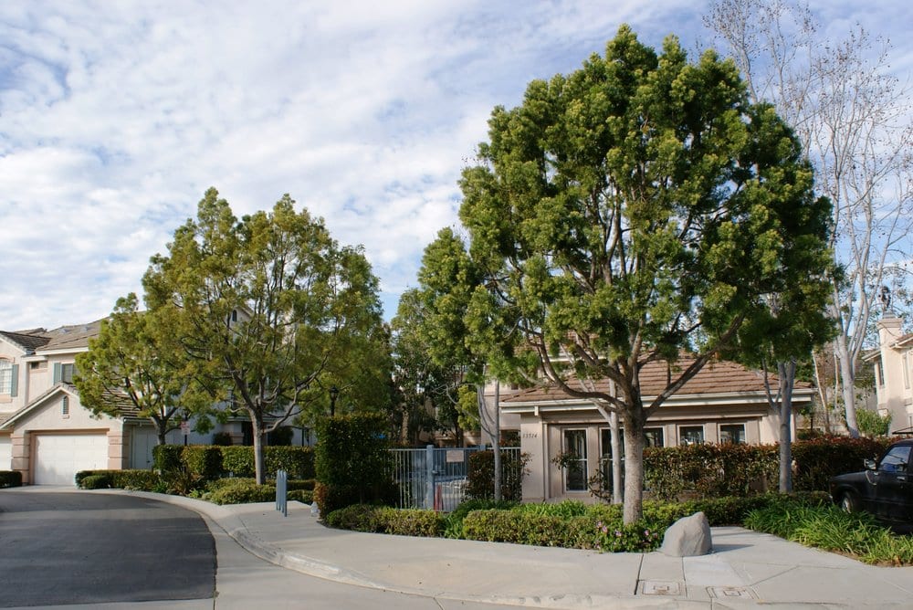 The Forestry Group - tree service in San Diego, CA