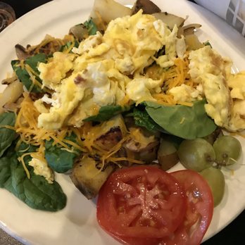 The Olive Branch - Cafes Near Me - Waco, Texas The Olive Branch - Cafes Near Me - Waco, Texas