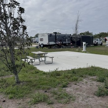 Encore Terra Ceia - Weeds and dead grass, - Campgrounds Near Me - Palmetto, Florida