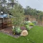 Photo of JJ's Landscaping & Tree Dominators