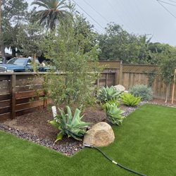 JJ's Landscaping & Tree Dominators - After removal of the Canary Island Palm tree removal we removed the stump and planted a new tree