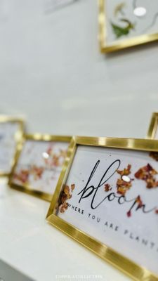 Creations by Coppola by null